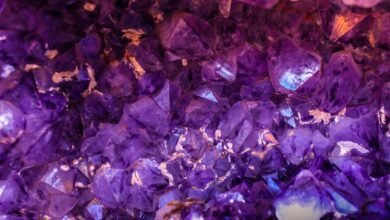 Closeup Photo of Purple Gemstones