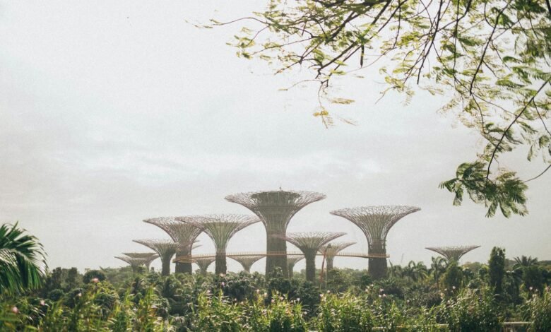 Gardens by the Bay, Singapore