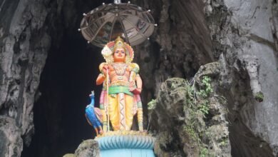 shallow focus photo of Hindu god statue