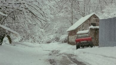 brown wooden house covered with snow during daytime