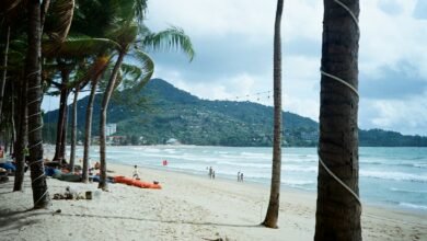 a beach with palm trees and people on it