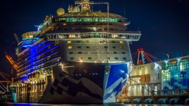 cruise ship dock on pier