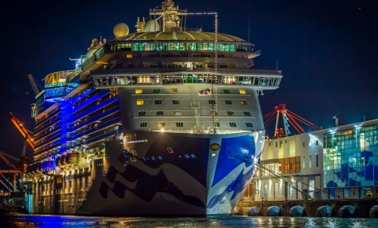 cruise ship dock on pier