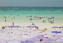 people on white sand beach during daytime