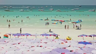 people on white sand beach during daytime