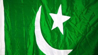 green and white star flag