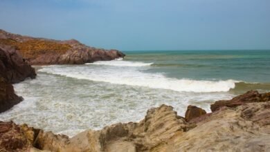 brown rocky shore near body of water during daytime