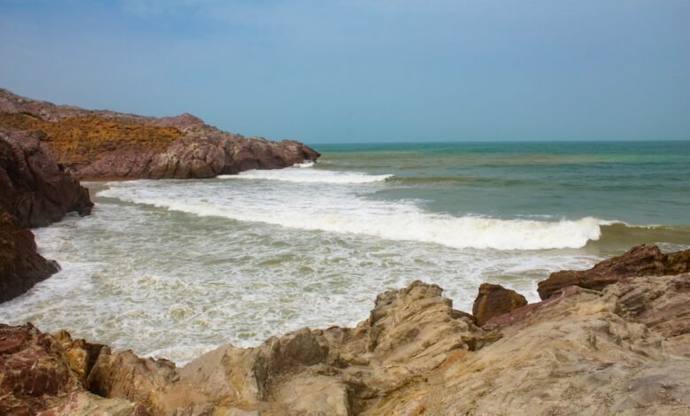 brown rocky shore near body of water during daytime