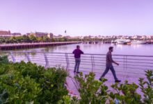 a couple of men walking across a bridge over a river