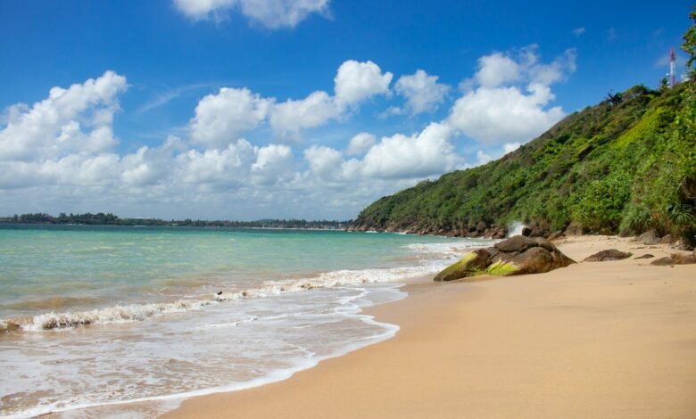 a beach with a hill and trees