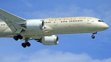 A close-up view of an Etihad Airways Boeing 787 Dreamliner in flight.