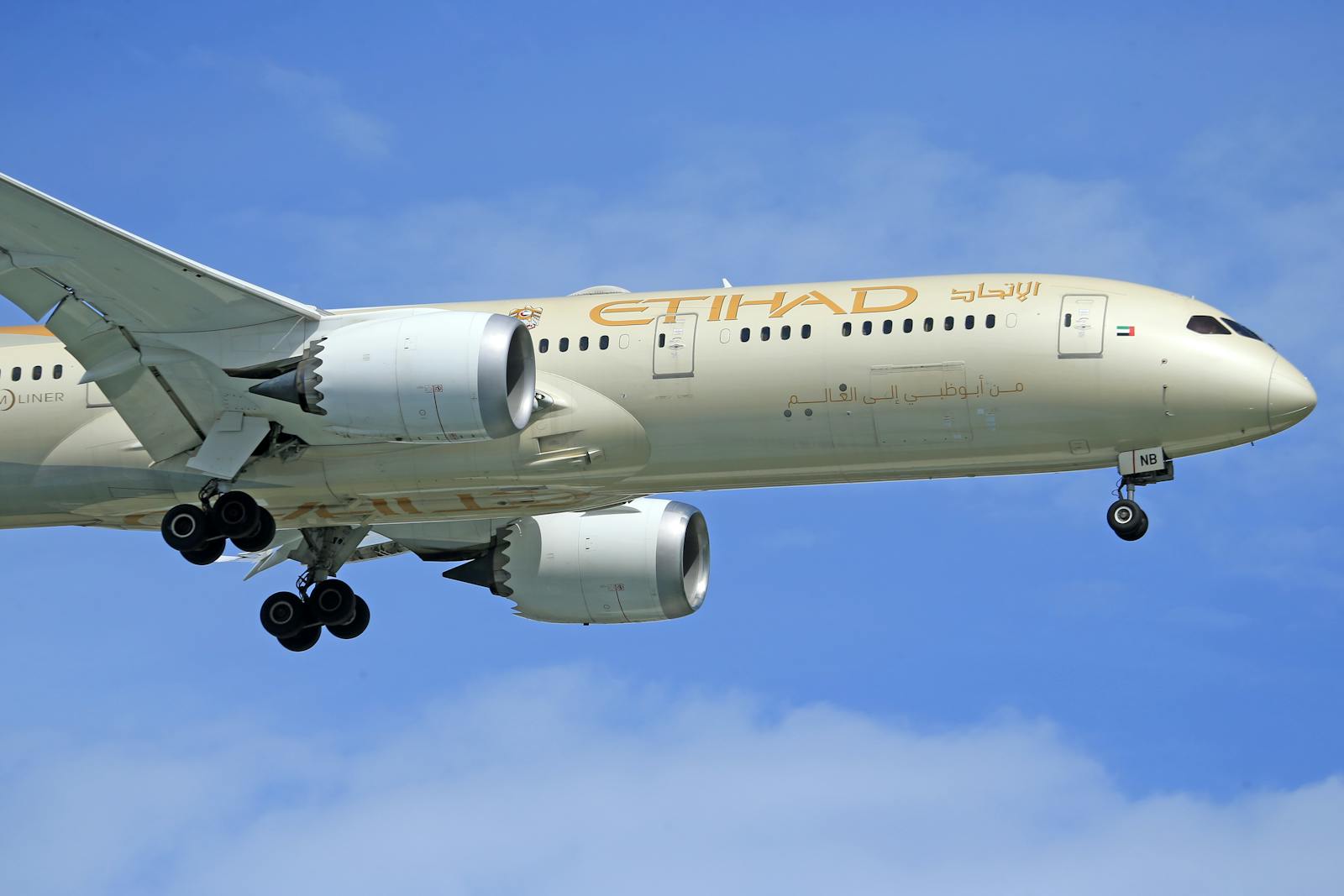 A close-up view of an Etihad Airways Boeing 787 Dreamliner in flight.
