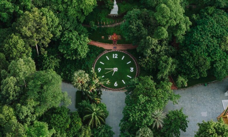 Discover the lush green surroundings and iconic clock at Wat Phnom, a renowned landmark in Phnom Penh, Cambodia.