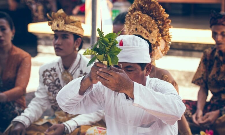 man holding green plant