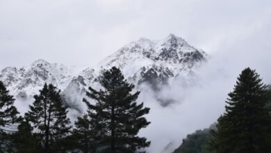 a mountain covered in snow and surrounded by trees