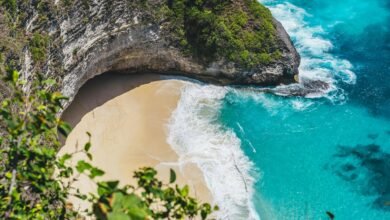 an aerial view of a beach and a cliff