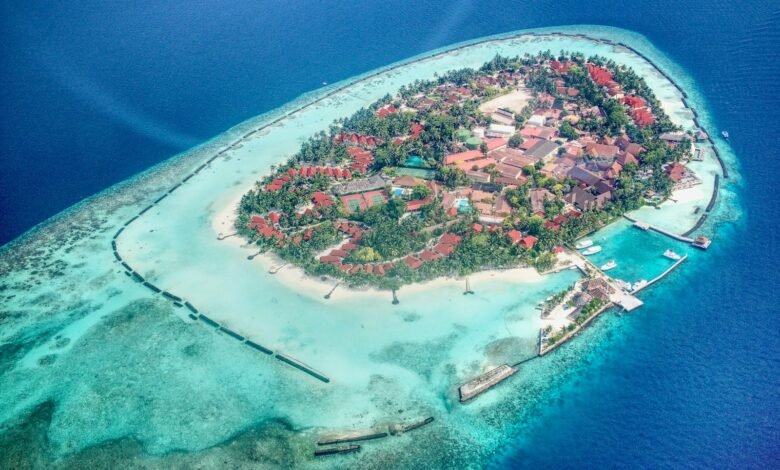 aerial view of city near body of water during daytime