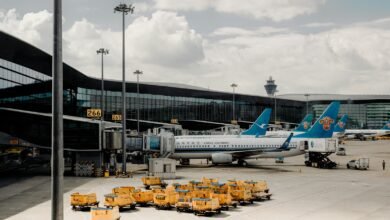 a group of airplanes parked at an airport