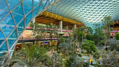 the inside of a large building with a lot of trees and plants