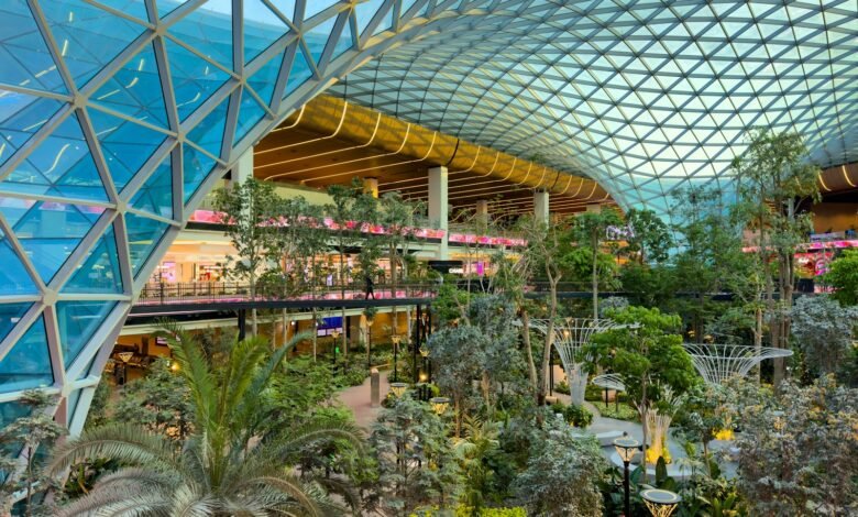 the inside of a large building with a lot of trees and plants