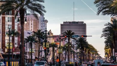 a city street with palm trees and traffic lights