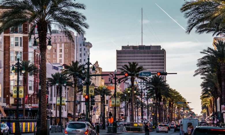 a city street with palm trees and traffic lights