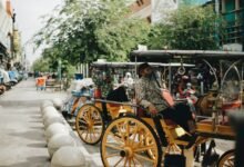 people riding on brown wooden carriage during daytime