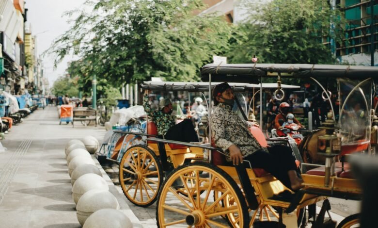 people riding on brown wooden carriage during daytime