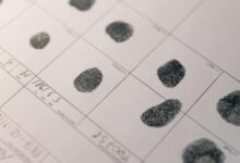 Detailed fingerprints on official document, highlighting identity verification process.