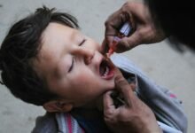 a little boy getting his teeth brushed by an adult