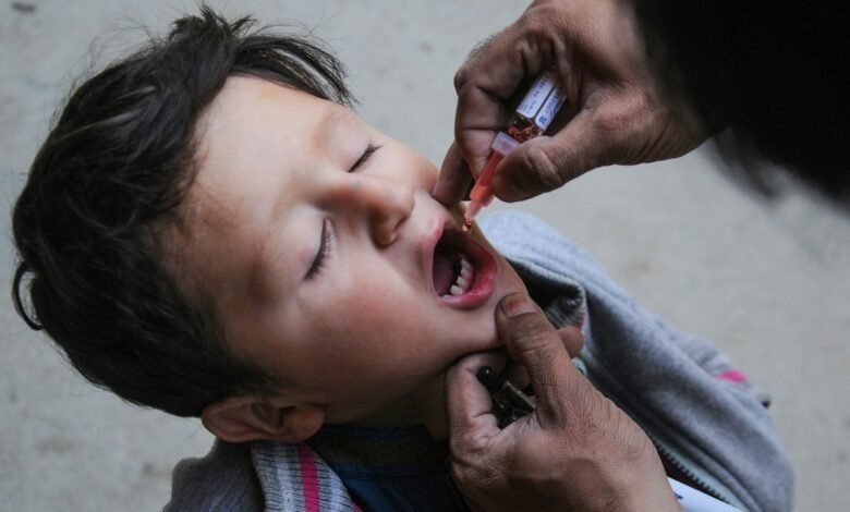 a little boy getting his teeth brushed by an adult